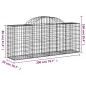 vidaXL Gabionen mit Hochbogen 30 Stk. 200x50x80/100cm Verzinktes Eisen vidaXL Gabionen mit Hochbogen 30 Stk. 200x50x80/100cm Verzinktes Eisen