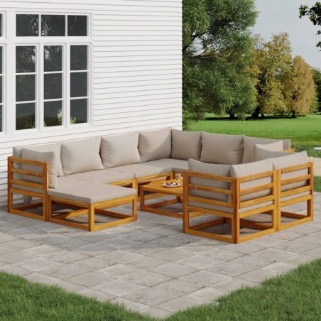vidaXL 10-tlg. Garten-Lounge-Set mit Hellgrauen Kissen Massivholz