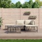 vidaXL 5-tlg. Garten-Lounge-Set mit Kissen Anthrazit Poly Rattan vidaXL 5-tlg. Garten-Lounge-Set mit Kissen Anthrazit Poly Rattan