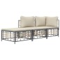 vidaXL 3-tlg. Garten-Lounge-Set mit Kissen Anthrazit Poly Rattan vidaXL 3-tlg. Garten-Lounge-Set mit Kissen Anthrazit Poly Rattan