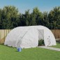 vidaXL Gewächshaus mit Stahlrahmen Weiß 20 m² 5x4x2,3 m vidaXL Gewächshaus mit Stahlrahmen Weiß 20 m² 5x4x2,3 m