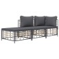 vidaXL 3-tlg. Garten-Lounge-Set mit Kissen Anthrazit Poly Rattan vidaXL 3-tlg. Garten-Lounge-Set mit Kissen Anthrazit Poly Rattan