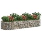 vidaXL Gabionen-Hochbeet Verzinktes Eisen 300x100x50 cm vidaXL Gabionen-Hochbeet Verzinktes Eisen 300x100x50 cm