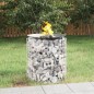 vidaXL Gabionen-Feuerstelle Ø 50 cm Verzinktes Eisen vidaXL Gabionen-Feuerstelle Ø 50 cm Verzinktes Eisen