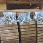 vidaXL Gartenbrücke B-Ware 170x74x105 cm Kiefernholz Imprägniert vidaXL Gartenbrücke B-Ware 170x74x105 cm Kiefernholz Imprägniert