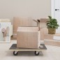 vidaXL Rollbretter 2 Stk. Rechteckig 60x40x11,5 cm vidaXL Rollbretter 2 Stk. Rechteckig 60x40x11,5 cm