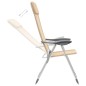 Klappbare Campingstühle 2 Stk. Aluminium Creme Klappbare Campingstühle 2 Stk. Aluminium Creme