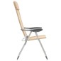 Klappbare Campingstühle 2 Stk. Aluminium Creme Klappbare Campingstühle 2 Stk. Aluminium Creme