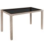 5-tlg. Garten-Essgruppe mit Auflagen Poly Rattan Beige 5-tlg. Garten-Essgruppe mit Auflagen Poly Rattan Beige
