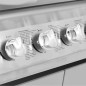 Gasgrill 4+1 Brenner Schwarz und Silbern Gasgrill 4+1 Brenner Schwarz und Silbern
