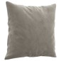 vidaXL Zierkissen 2 Stk. Hellgrau 40x40 cm Samt vidaXL Zierkissen 2 Stk. Hellgrau 40x40 cm Samt