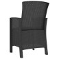 vidaXL Gartenstühle 2 Stk. mit Kissen PP Rattan Graphitgrau vidaXL Gartenstühle 2 Stk. mit Kissen PP Rattan Graphitgrau