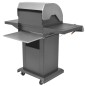 Gasgrill BBQ Grill 2 + 1 Brenner Schwarz und Silbern Gasgrill BBQ Grill 2 + 1 Brenner Schwarz und Silbern