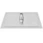 vidaXL Regenbrause Edelstahl 25x25 cm Quadratisch vidaXL Regenbrause Edelstahl 25x25 cm Quadratisch
