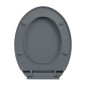 vidaXL Toilettensitz mit Absenkautomatik Quick-Release Grau Oval vidaXL Toilettensitz mit Absenkautomatik Quick-Release Grau Oval
