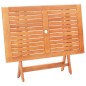 vidaXL Klappbarer Gartentisch 120x70x75 cm Eukalyptus Massivholz vidaXL Klappbarer Gartentisch 120x70x75 cm Eukalyptus Massivholz