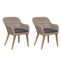 vidaXL Gartenstühle mit Polstern 2 Stk. Poly Rattan Braun 