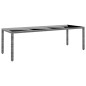 vidaXL Gartentisch 250x100x75 cm Hartglas und Poly Rattan Grau vidaXL Gartentisch 250x100x75 cm Hartglas und Poly Rattan Grau