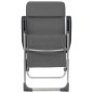 Klappbare Campingstühle 4 Stk. Grau Aluminium Klappbare Campingstühle 4 Stk. Grau Aluminium