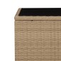 vidaXL Beistelltisch mit Glasplatte Beige Poly Rattan & Hartglas vidaXL Beistelltisch mit Glasplatte Beige Poly Rattan & Hartglas