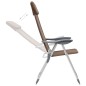 Klappbare Campingstühle 4 Stk. Aluminium Braun Klappbare Campingstühle 4 Stk. Aluminium Braun