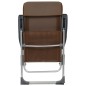 Klappbare Campingstühle 4 Stk. Aluminium Braun Klappbare Campingstühle 4 Stk. Aluminium Braun