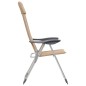 Campingstühle 2 Stk. Creme 58 x 69 x 111 cm Aluminium Campingstühle 2 Stk. Creme 58 x 69 x 111 cm Aluminium