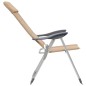 Campingstühle 2 Stk. Creme 58 x 69 x 111 cm Aluminium Campingstühle 2 Stk. Creme 58 x 69 x 111 cm Aluminium