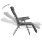 vidaXL Klappbare Gartenstühle mit Polstern 2 Stk. Grau vidaXL Klappbare Gartenstühle mit Polstern 2 Stk. Grau