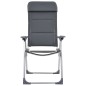 Campingstuhl 2 Stk. Grau 58 x 69 x 111 cm Aluminium Campingstuhl 2 Stk. Grau 58 x 69 x 111 cm Aluminium