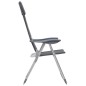 Campingstuhl 2 Stk. Grau 58 x 69 x 111 cm Aluminium Campingstuhl 2 Stk. Grau 58 x 69 x 111 cm Aluminium