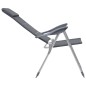 Campingstuhl 2 Stk. Grau 58 x 69 x 111 cm Aluminium Campingstuhl 2 Stk. Grau 58 x 69 x 111 cm Aluminium