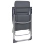 Campingstuhl 2 Stk. Grau 58 x 69 x 111 cm Aluminium Campingstuhl 2 Stk. Grau 58 x 69 x 111 cm Aluminium