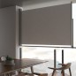 vidaXL Einziehbare Seitenmarkise 160x300 cm Grau vidaXL Einziehbare Seitenmarkise 160x300 cm Grau