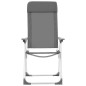 Klappbare Campingstühle 2 Stk. Grau Aluminium Klappbare Campingstühle 2 Stk. Grau Aluminium