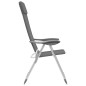 Klappbare Campingstühle 2 Stk. Grau Aluminium Klappbare Campingstühle 2 Stk. Grau Aluminium
