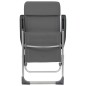 Klappbare Campingstühle 2 Stk. Grau Aluminium Klappbare Campingstühle 2 Stk. Grau Aluminium