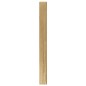 vidaXL Schmuckschrank mit Spiegel Wandmontage 37,5x10x106 cm vidaXL Schmuckschrank mit Spiegel Wandmontage 37,5x10x106 cm