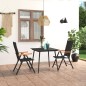 vidaXL 3-tlg. Garten-Essgruppe Schwarz und Braun vidaXL 3-tlg. Garten-Essgruppe Schwarz und Braun