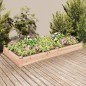 vidaXL Hochbeet mit Einsatz 240x120x25 cm Massivholz Tanne vidaXL Hochbeet mit Einsatz 240x120x25 cm Massivholz Tanne