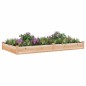 vidaXL Hochbeet mit Einsatz 240x120x25 cm Massivholz Tanne vidaXL Hochbeet mit Einsatz 240x120x25 cm Massivholz Tanne