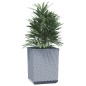 vidaXL Pflanzkübel 2 Stk. Hellgrau 30x30x37 cm Polypropylen vidaXL Pflanzkübel 2 Stk. Hellgrau 30x30x37 cm Polypropylen
