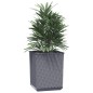 vidaXL Pflanzkübel 2 Stk. Dunkelgrau 30x30x37 cm Polypropylen vidaXL Pflanzkübel 2 Stk. Dunkelgrau 30x30x37 cm Polypropylen