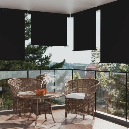vidaXL Balkon-Seitenmarkise 145x250 cm Schwarz