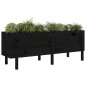vidaXL Hochbeet Schwarz 160x50x57 cm Massivholz Kiefer vidaXL Hochbeet Schwarz 160x50x57 cm Massivholz Kiefer
