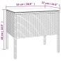 vidaXL Beistelltisch Schwarz 53x37x48 cm Poly Rattan und Hartglas vidaXL Beistelltisch Schwarz 53x37x48 cm Poly Rattan und Hartglas