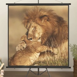 vidaXL Beamer Leinwand 57" 1:1
