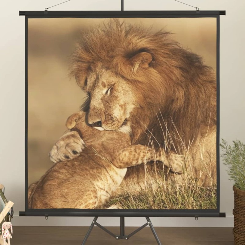 vidaXL Beamer Leinwand 57" 1:1 vidaXL Beamer Leinwand 57" 1:1