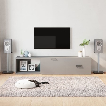 vidaXL Lautsprecher-Ständer 2 Stk. Schwarz & Silbern Hartglas 1 Säule