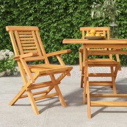vidaXL Gartenstühle 2 Stk. Klappbar 56x63x90 cm Massivholz Teak